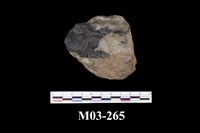 藏品(鎢錳鐵礦)的圖片